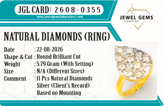 JGL 2608-0355